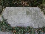 image of grave number 556821